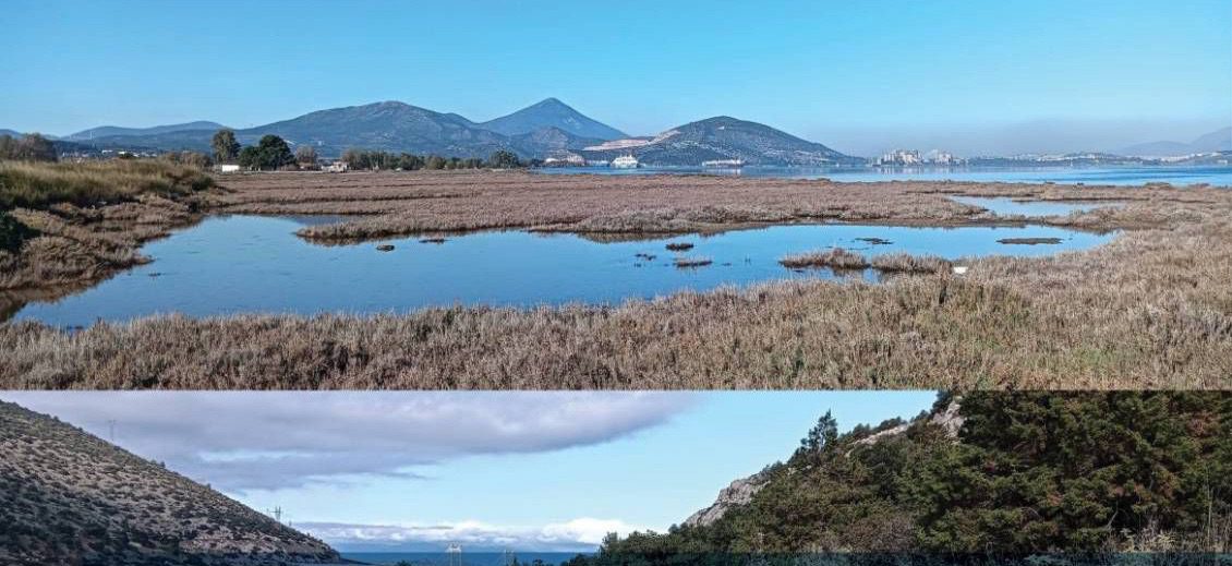 Εύβοια: Δράσεις για την Παγκόσμια Ημέρα Υγροτόπων – Που θα γίνουν