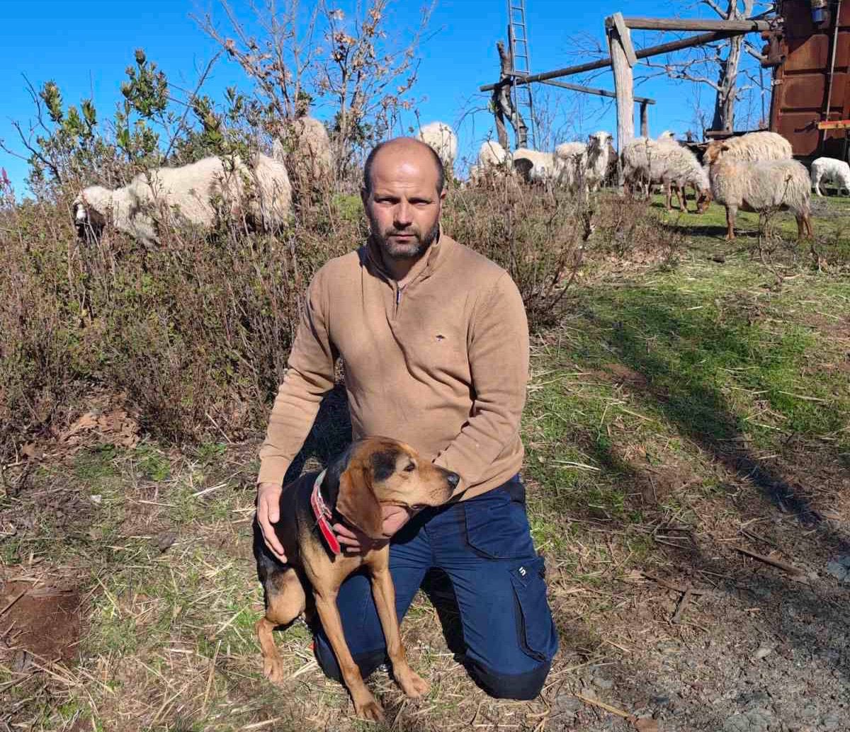 Αντιδήμαρχος στην Εύβοια υιοθέτησε αδέσποτη σκυλίτσα!