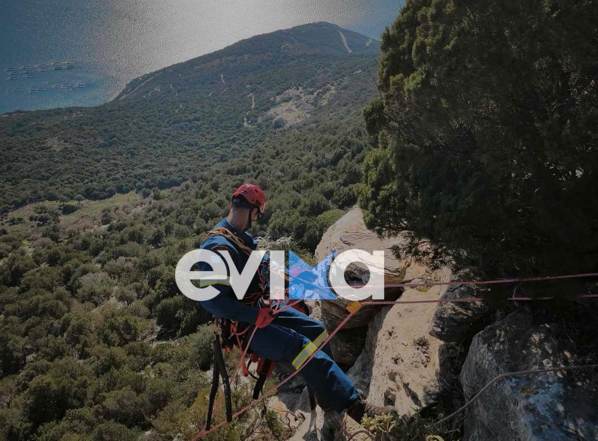 Κατσίκι εγκλωβίστηκε σε δύσβατο σημείο στην Εύβοια: Συγκλονιστική διάσωση πυροσβεστών (εικόνες)