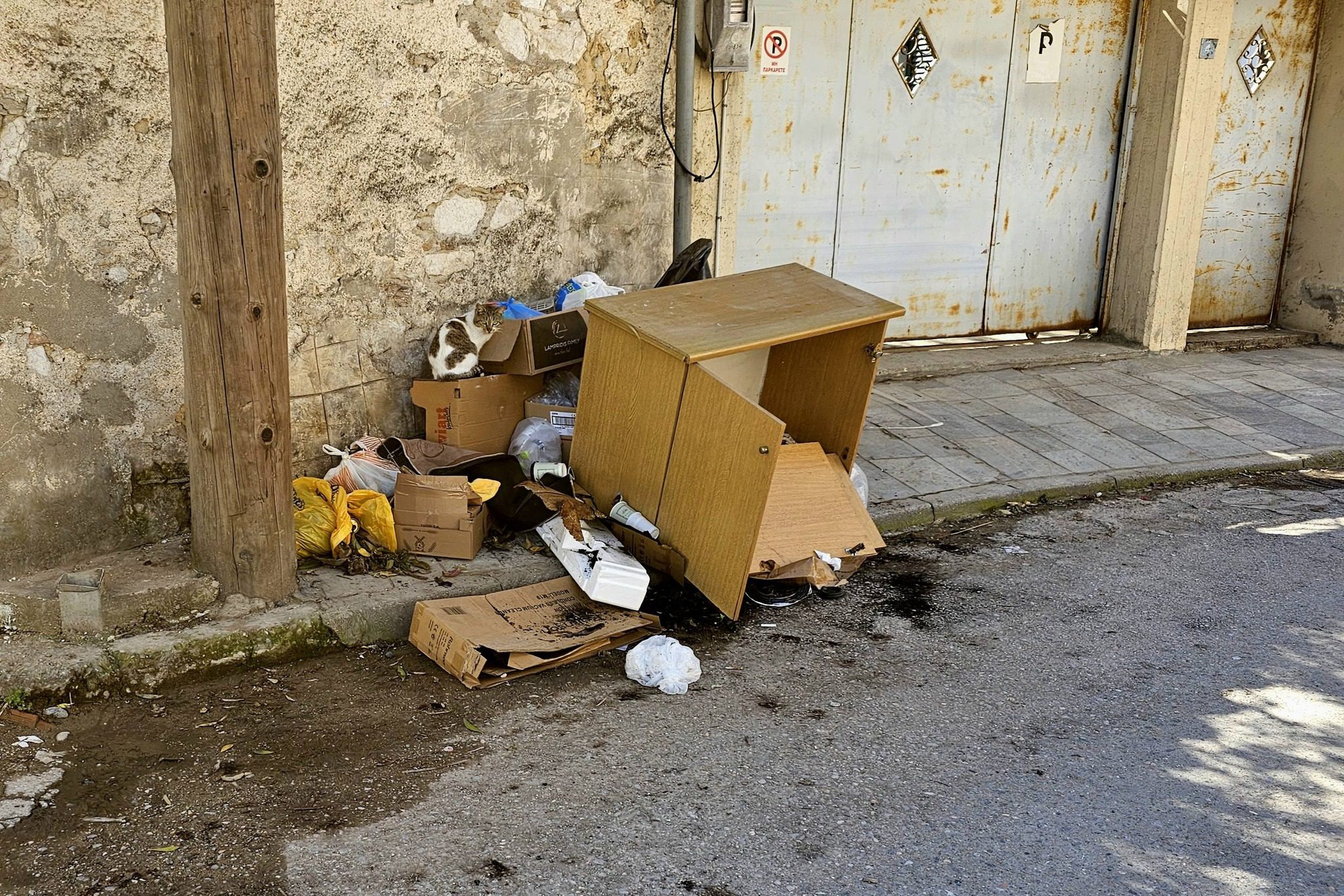 Εύβοια: Ασυνείδητοι πέταξαν σκουπίδια στο κέντρο της πόλης