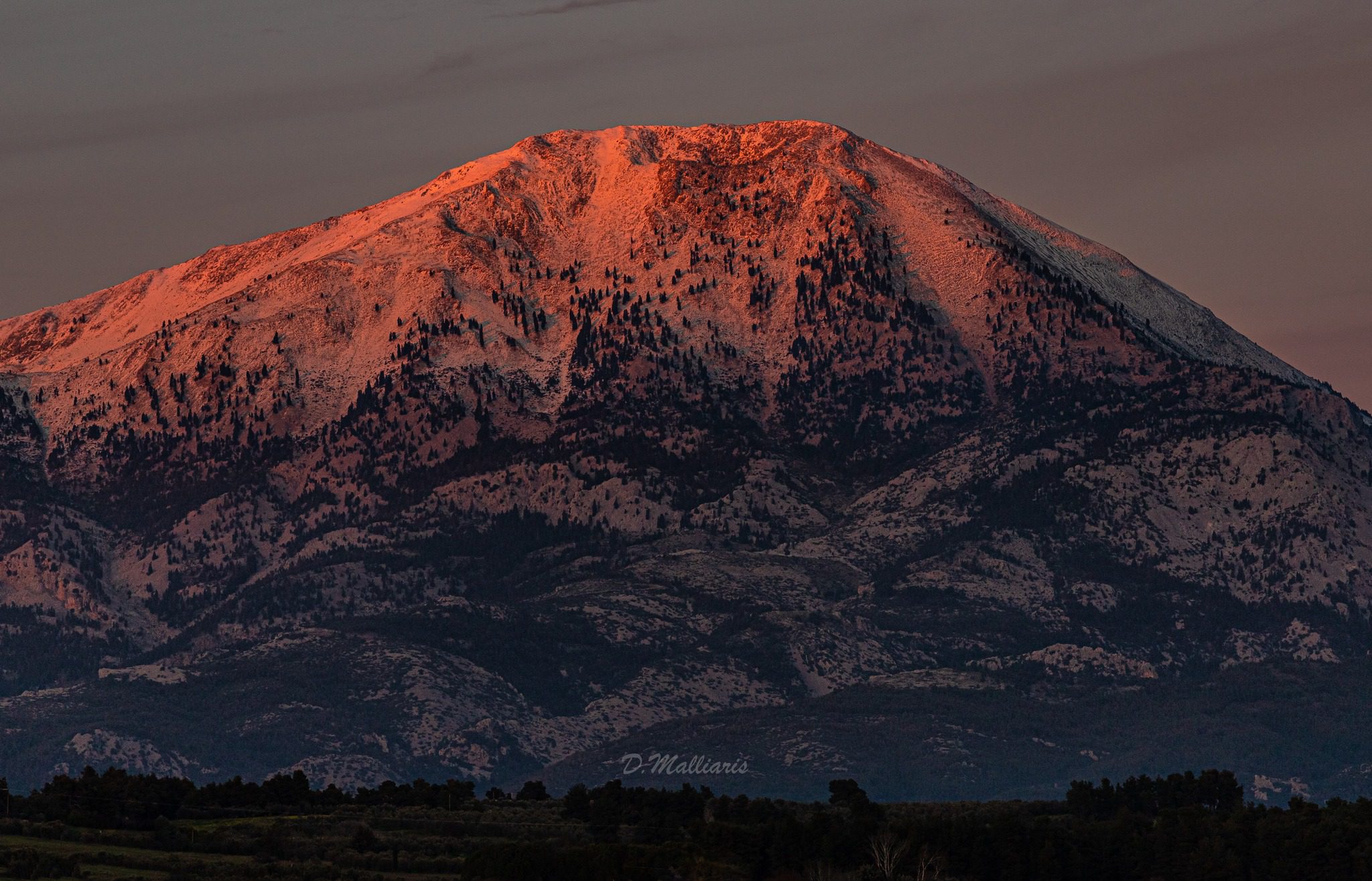 Αυτή η περιοχή της Εύβοιας ντύθηκε στα λευκά- Εντυπωσιακή εικόνα