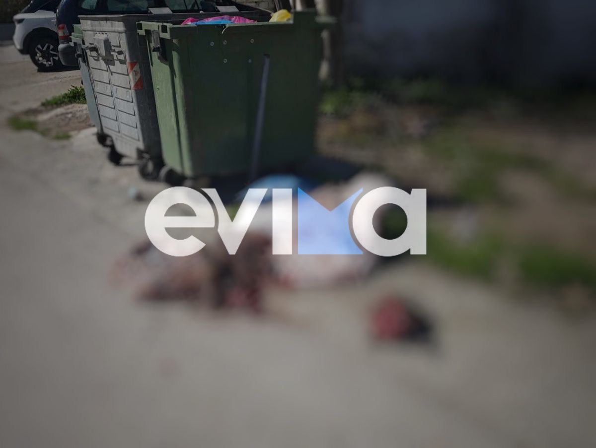 Σοκ στην Εύβοια: Πέταξαν σφαγμένο ζώο στα σκουπίδια