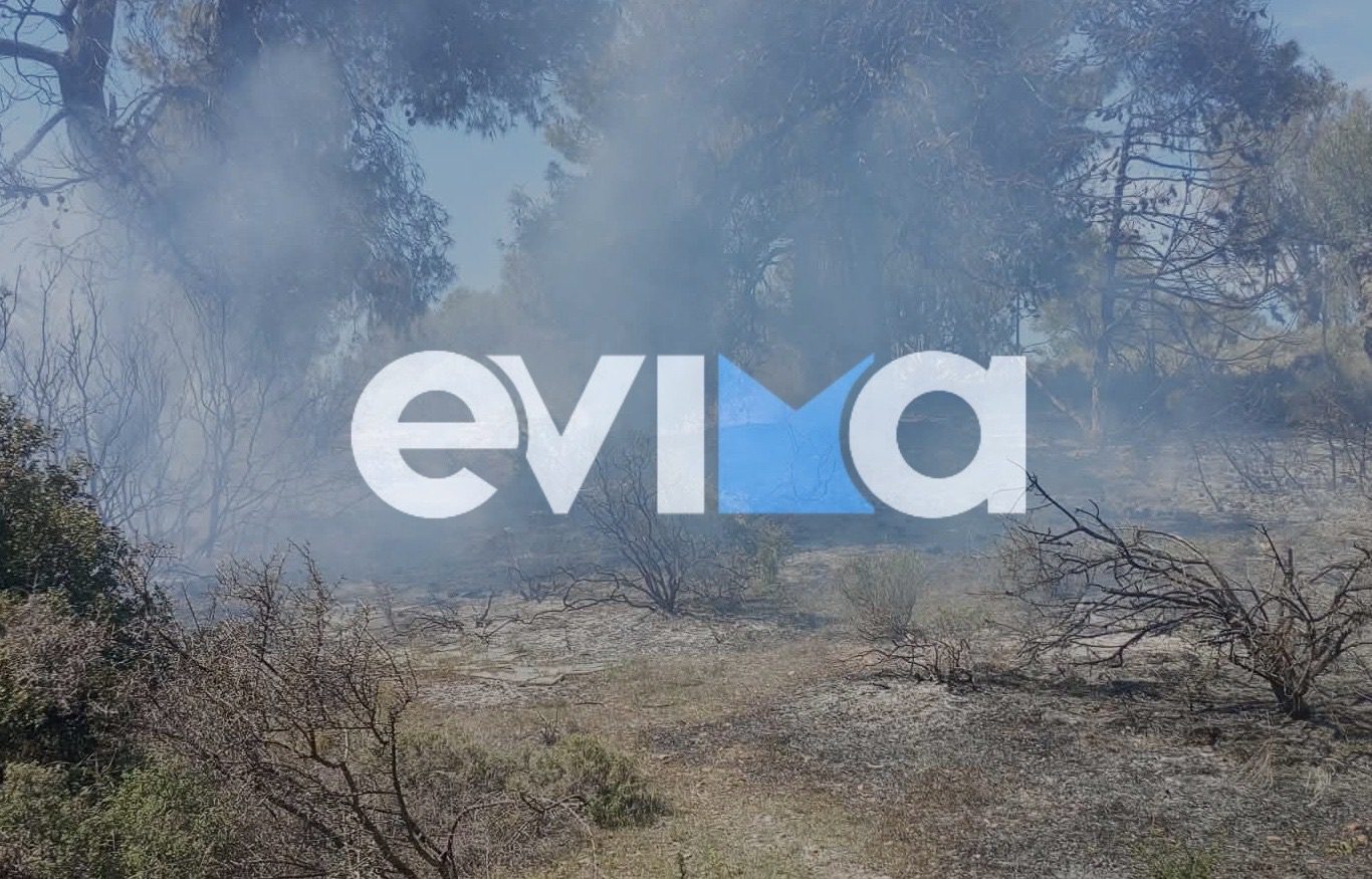 Φωτιά τώρα στην Εύβοια