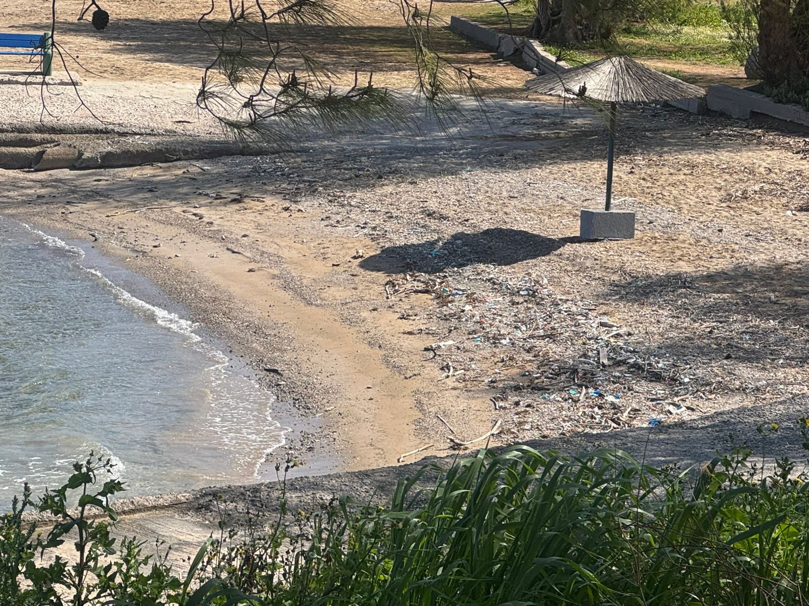 Πασίγνωστη παραλία της Εύβοιας γέμισε με σκουπίδια – Εικόνες