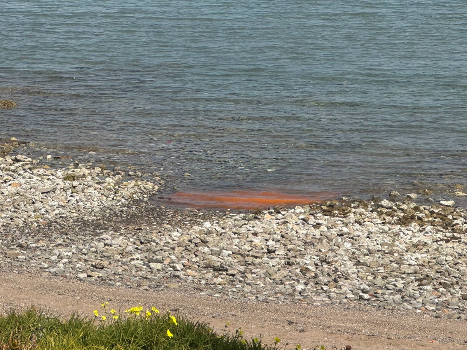 Νέος συναγερμός στην Εύβοια: Νέα παραλία έγινε «πορτοκαλί» – Εικόνες