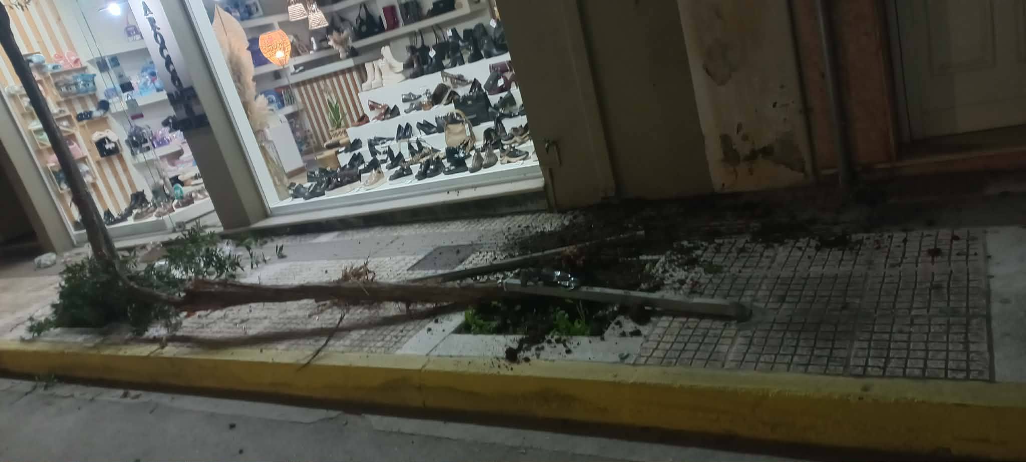 Εύβοια: Τι έγινε με τα ξεριζωμένα δέντρα στο κέντρο πόλης – Τι λέει η Κοινότητα