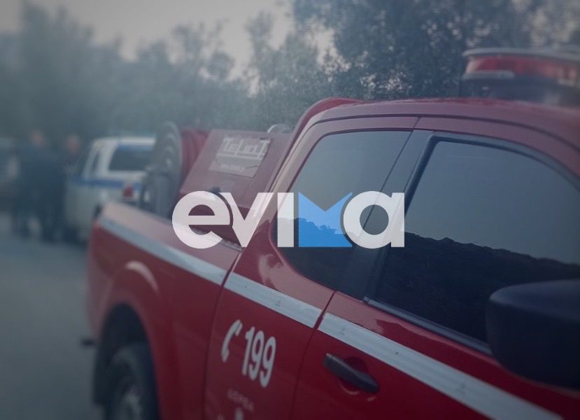 Ηρωική παρέμβαση προέδρου Κοινότητας σε επιχείρηση διάσωσης στην Εύβοια