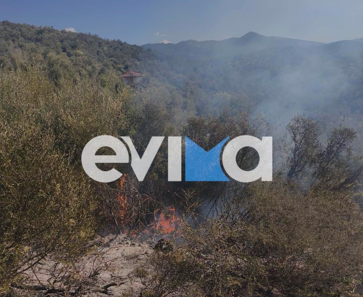Φωτιά τώρα σε δασική έκταση στην Εύβοια