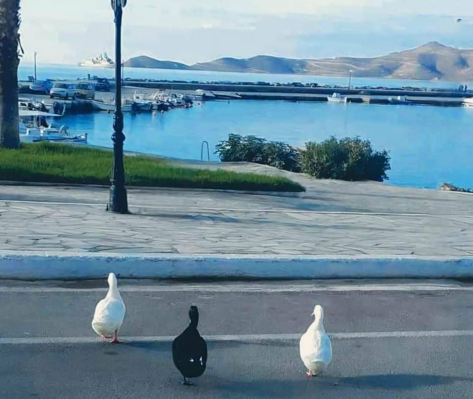 Καιρός: Λιακάδα και σήμερα στο μεγαλύτερο μέρος της Εύβοιας