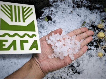 Πότε πληρώνει ο ΕΛΓΑ για τις ζημιές του 2025