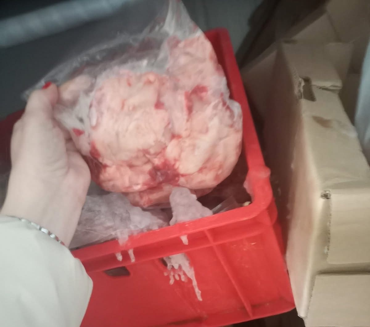 Κατάσχεση 3,5 τόνων ακατάλληλων κρεάτων από την Περιφέρεια Αττικής