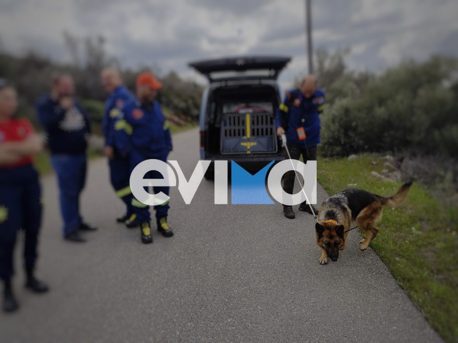 Αγωνία στην Εύβοια για τον 62χρονο που αγνοείται- Σκύλος της 7ης ΕΜΑΚ στις έρευνες