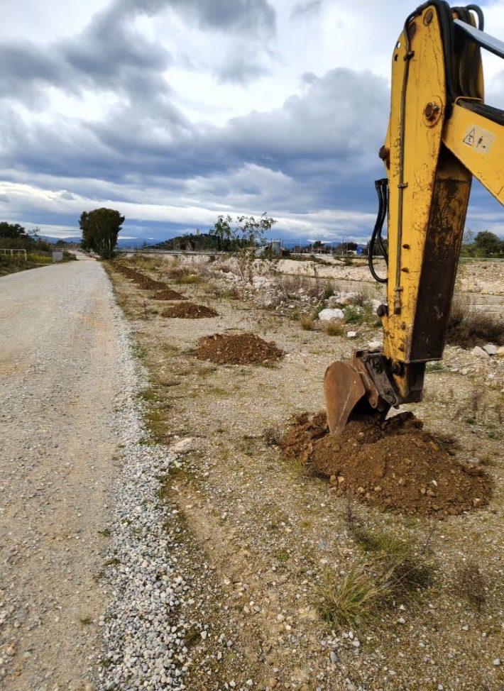 Μαθητές φύτεψαν δεντράκια σε διάφορα σημεία της Εύβοιας