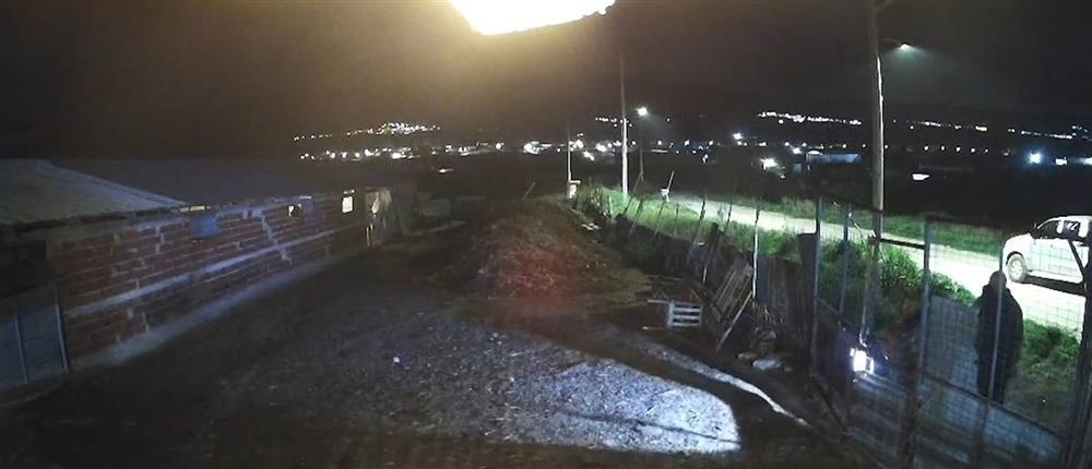 Κουκουλοφόροι εισέβαλαν σε μαντρί και έκλεψαν πρόβατα σ η Βόλβη