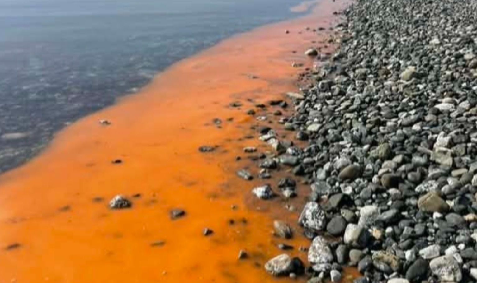 Γιατί έγινε πορτοκάλι γνωστή παραλία της Εύβοιας