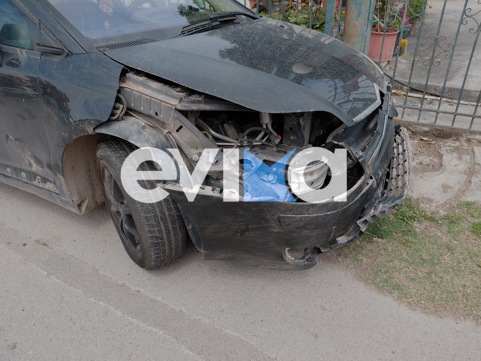 Τροχαίο στη Χαλκίδα: Τεράστιο αγριογούρουνο πετάχτηκε στο δρόμο και έπεσε πάνω σε ΙΧ