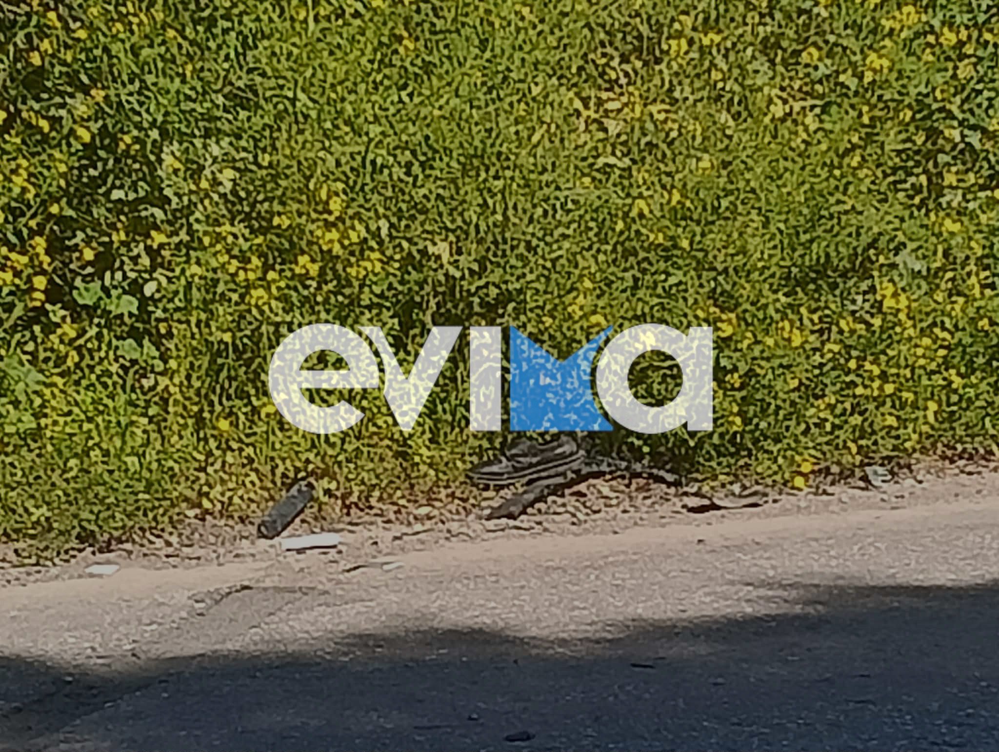 Θανατηφόρο τροχαίο στην Εύβοια: Κατέληξε η 75χρονη οδηγός του δίκυκλου