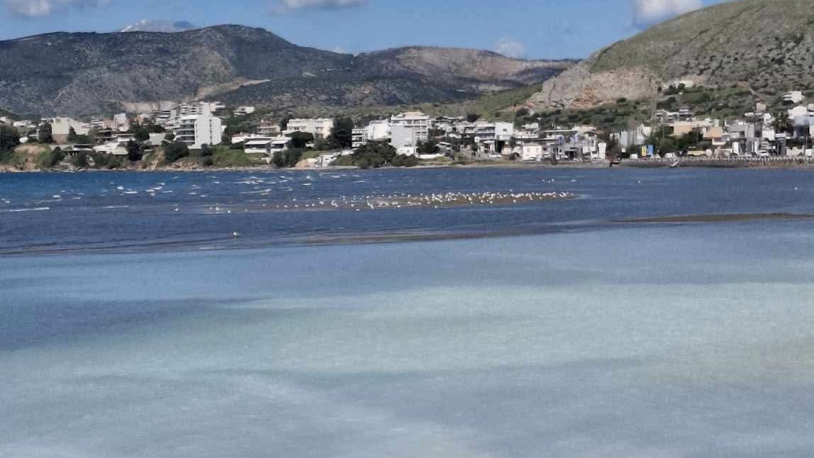 Παράξενο φαινόμενο σε παραλία της Εύβοιας: Δείτε τι συνέβη