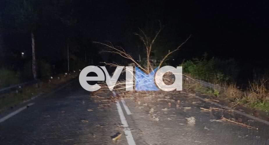 Κακοκαιρία στην Εύβοια: Πτώσεις δέντρων σε κεντρικούς δρόμους