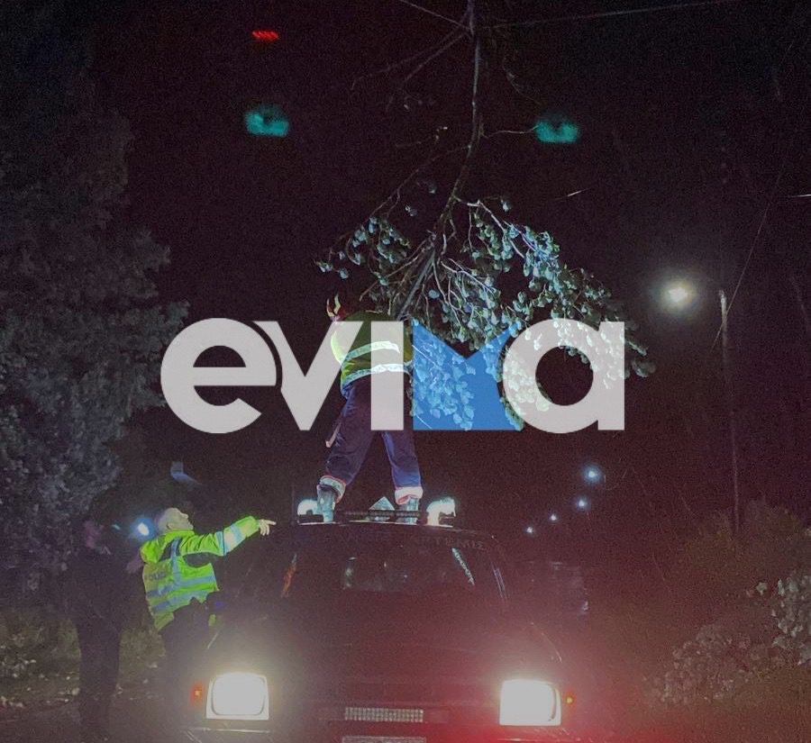 Κακοκαιρία στην Εύβοια: Πτώσεις δέντρων σε κεντρικούς δρόμους (εικόνες&βίντεο)