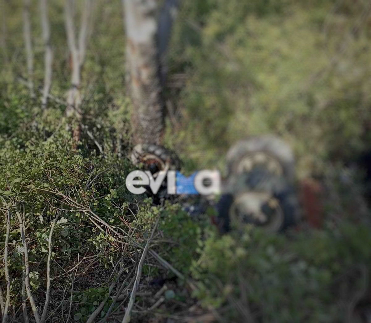 Νέα τραγωδία στην Εύβοια: Πώς ο 70χρονος άνδρας έχασε την ζωή του