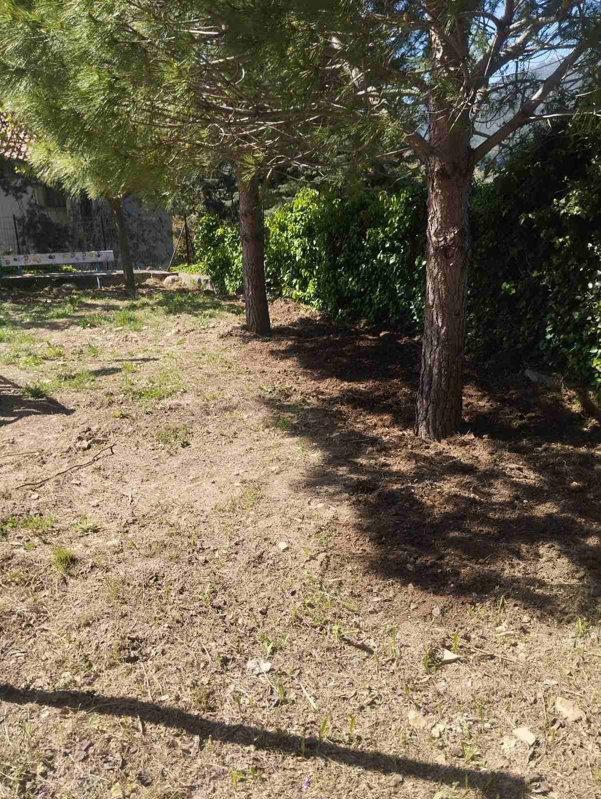 Γραφικό χωριό της Εύβοιας «άλλαξε όψη» μετά από εκτεταμένο καθαρισμό