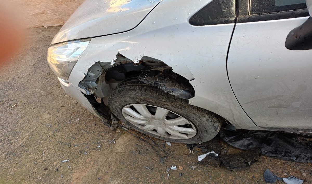 Σκυλιά έφαγαν αυτοκίνητο στο Ηράκλειο