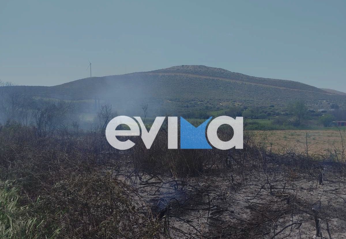 Φωτιά τώρα σε κάμπο της Εύβοιας