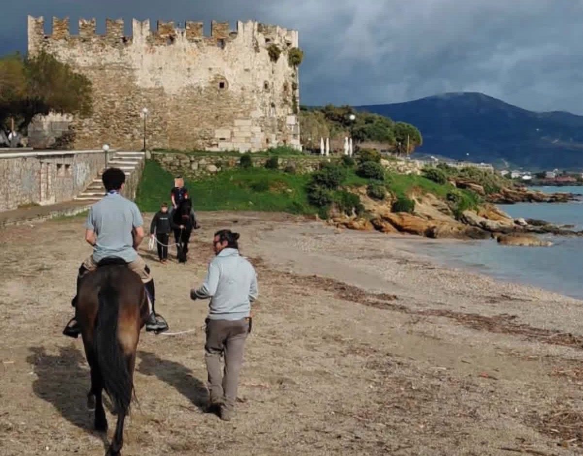 Από την Αθήνα στην Κάρυστο για τα θρυλικά άλογα των «Φίλλιπων