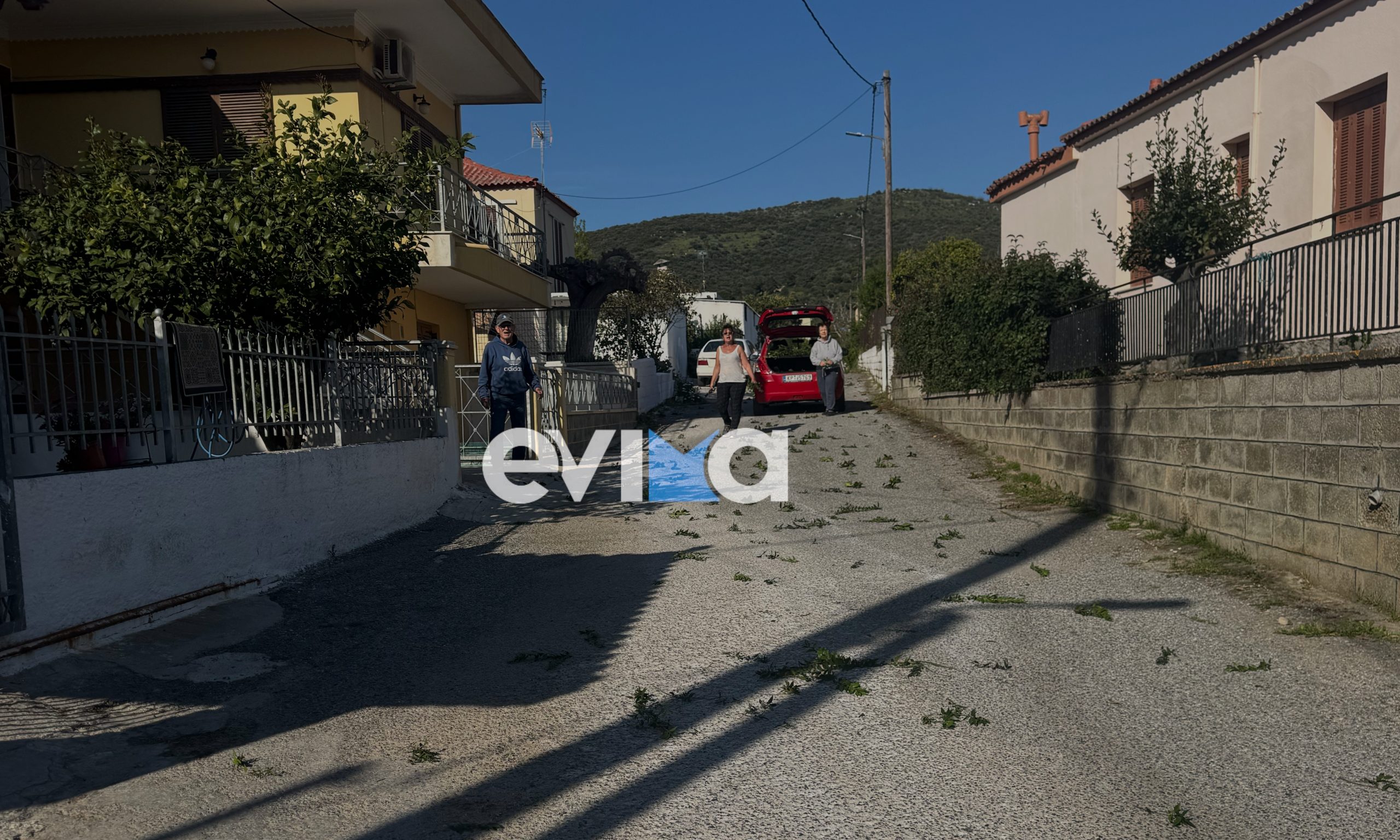 Στιγμές κατάνυξης στην Εύβοια: Γέμισαν με δάφνες σοκάκια για να περάσει ο Επιτάφιος (pics&vid)