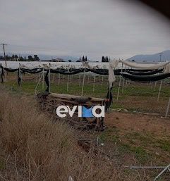 Τροχαίο στην Εύβοια: Αγροτικό ντεραπάρισε και κατέληξε σε χωράφι