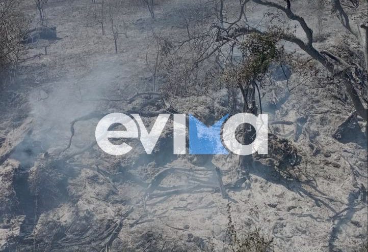 Φωτιά στην Εύβοια: Συνελήφθη 56χρονος για πρόκληση πυρκαγιάς