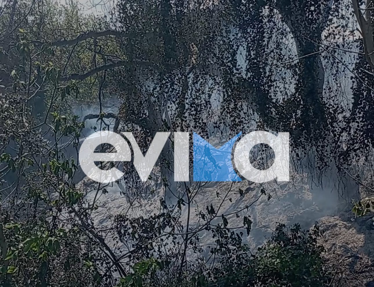 Εύβοια: Τσουχτερό πρόστιμο στον 56χρονο που συνελήφθη για πρόκληση πυρκαγιάς από αμέλεια