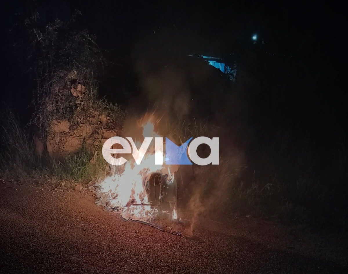 Μπαράζ πυρκαγιών σε κάδους στο Προκόπι Ευβοίας – Στο πόδι οι κάτοικοι