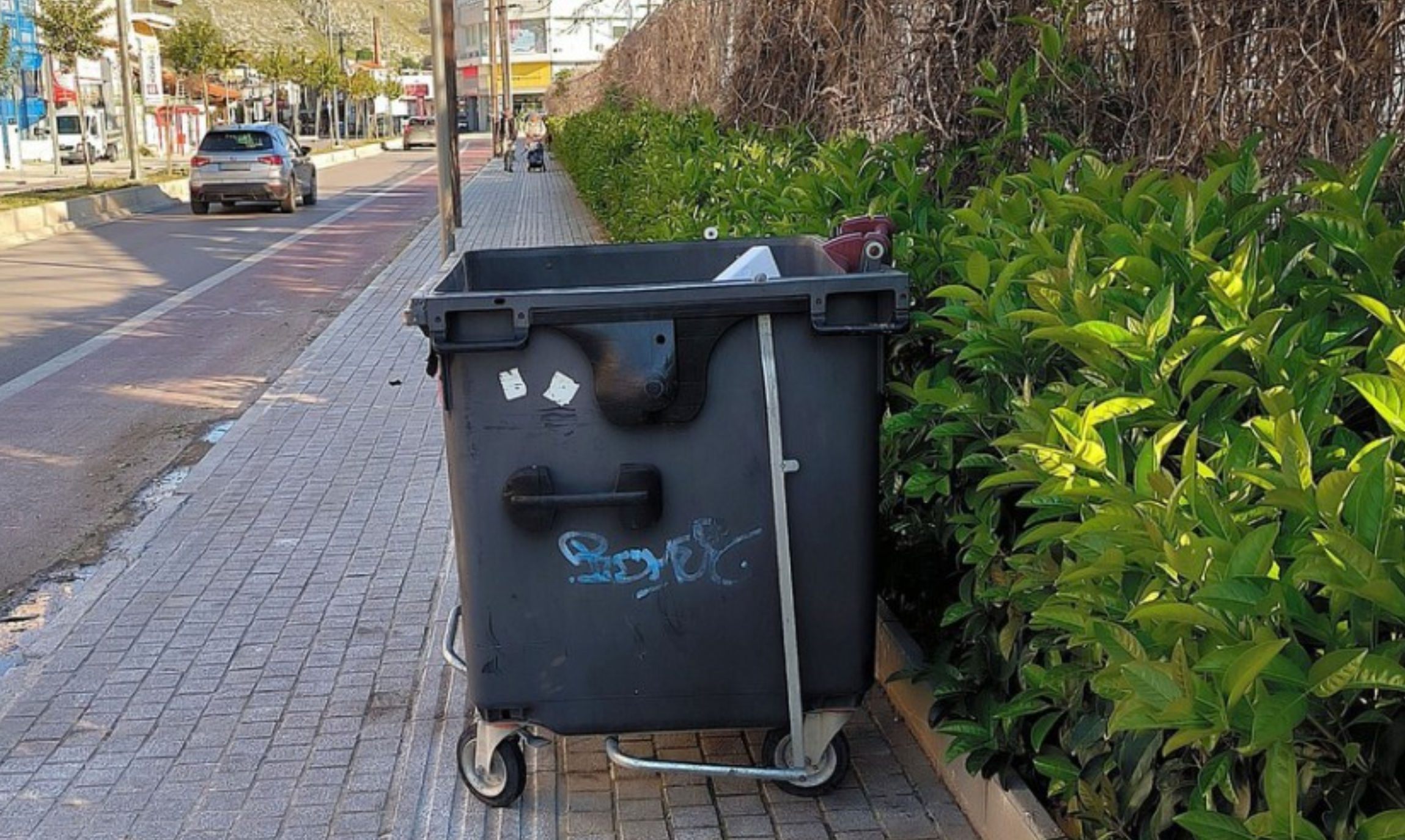 Σάλος στην Εύβοια: Παράτησαν κάδο σκουπιδιών μπροστά σε διάβαση