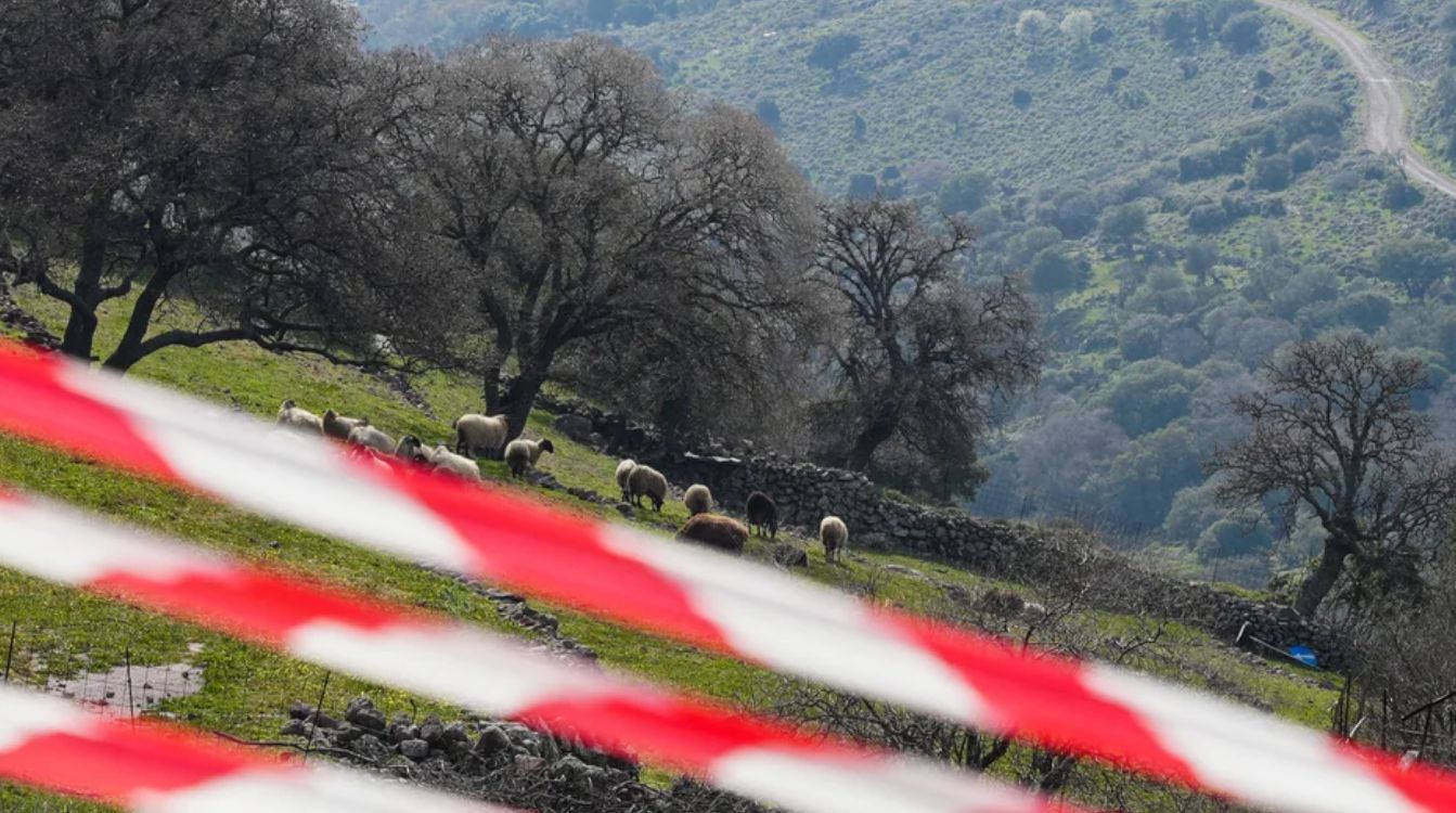 Σαρώνει ο αφθώδης πυρετός στη Λέσβο – Εντοπίστηκαν 48 κρούσματα