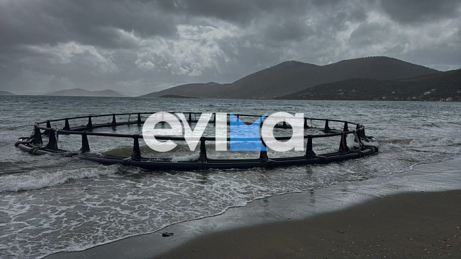 Βγήκε σε πασίγνωστη παραλία της Εύβοιας το τεράστιο κλουβί ψαριών – Βίντεο