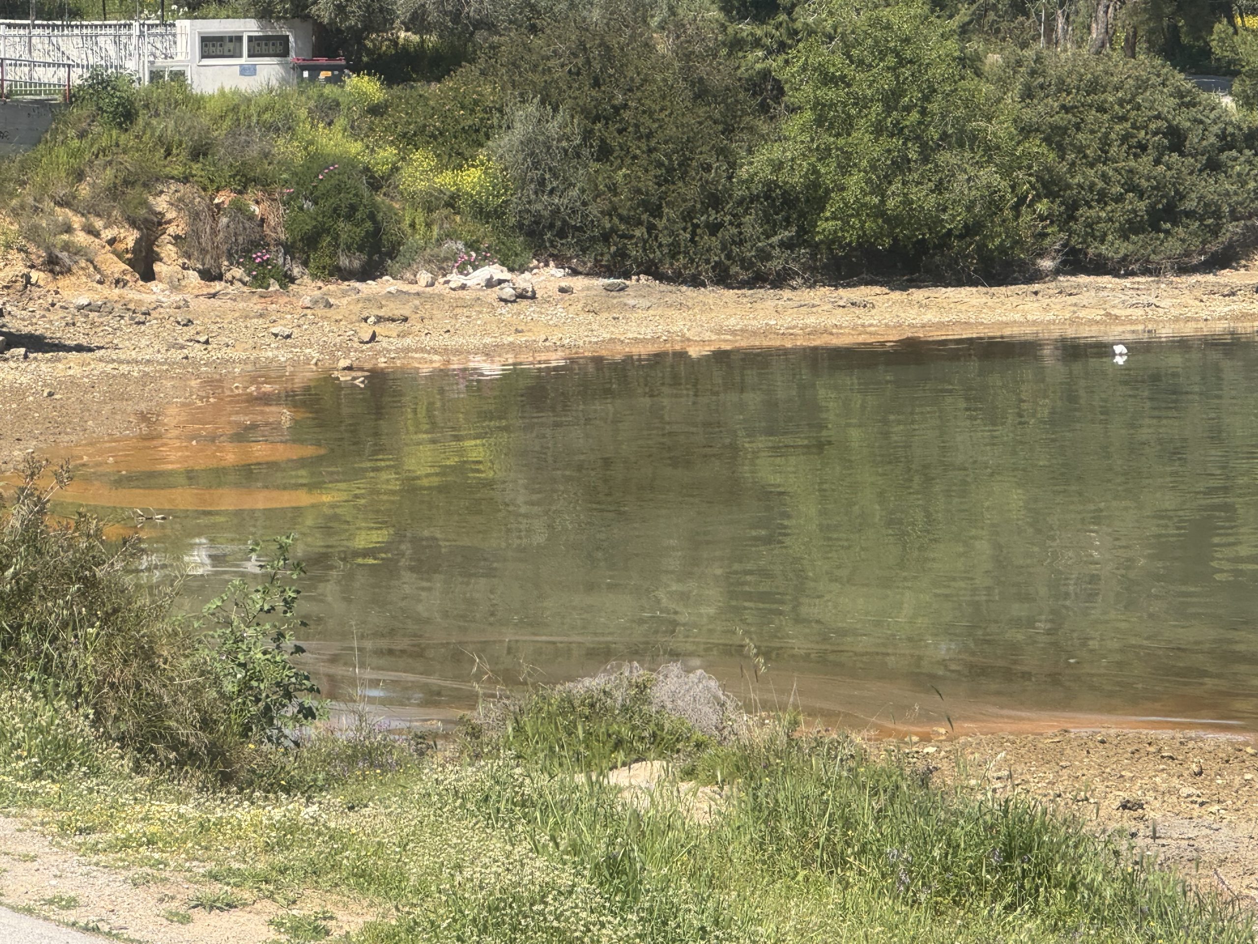 Μυστήριο με τις παραλίες στην Εύβοια: Γιατί γίνονται πορτοκαλί