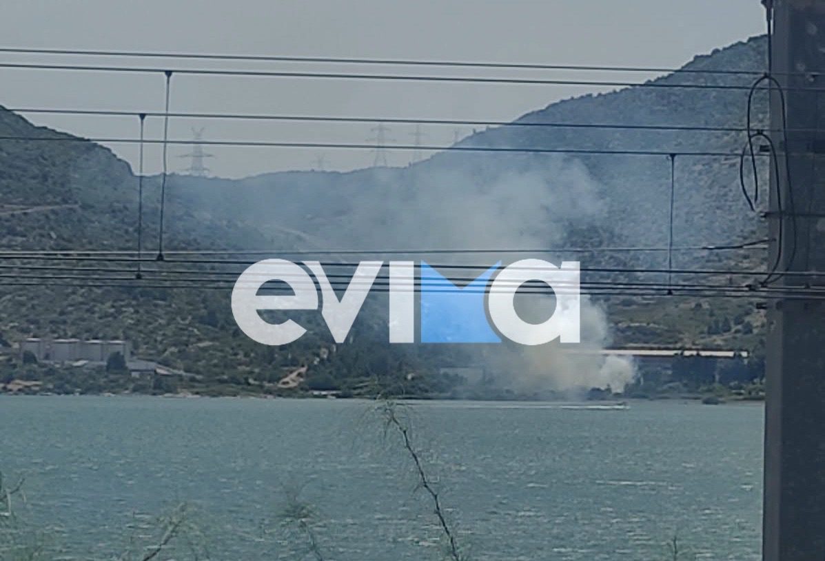 Φωτιά τώρα στην Εύβοια