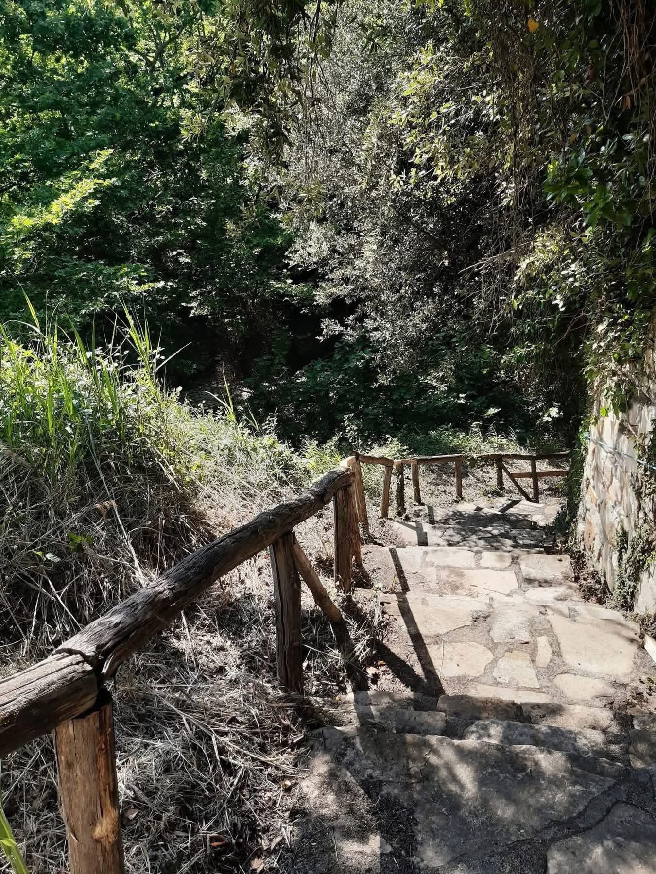 «Βροχή» οι καθαρισμοί σε αυτό το χωριό της Εύβοιας