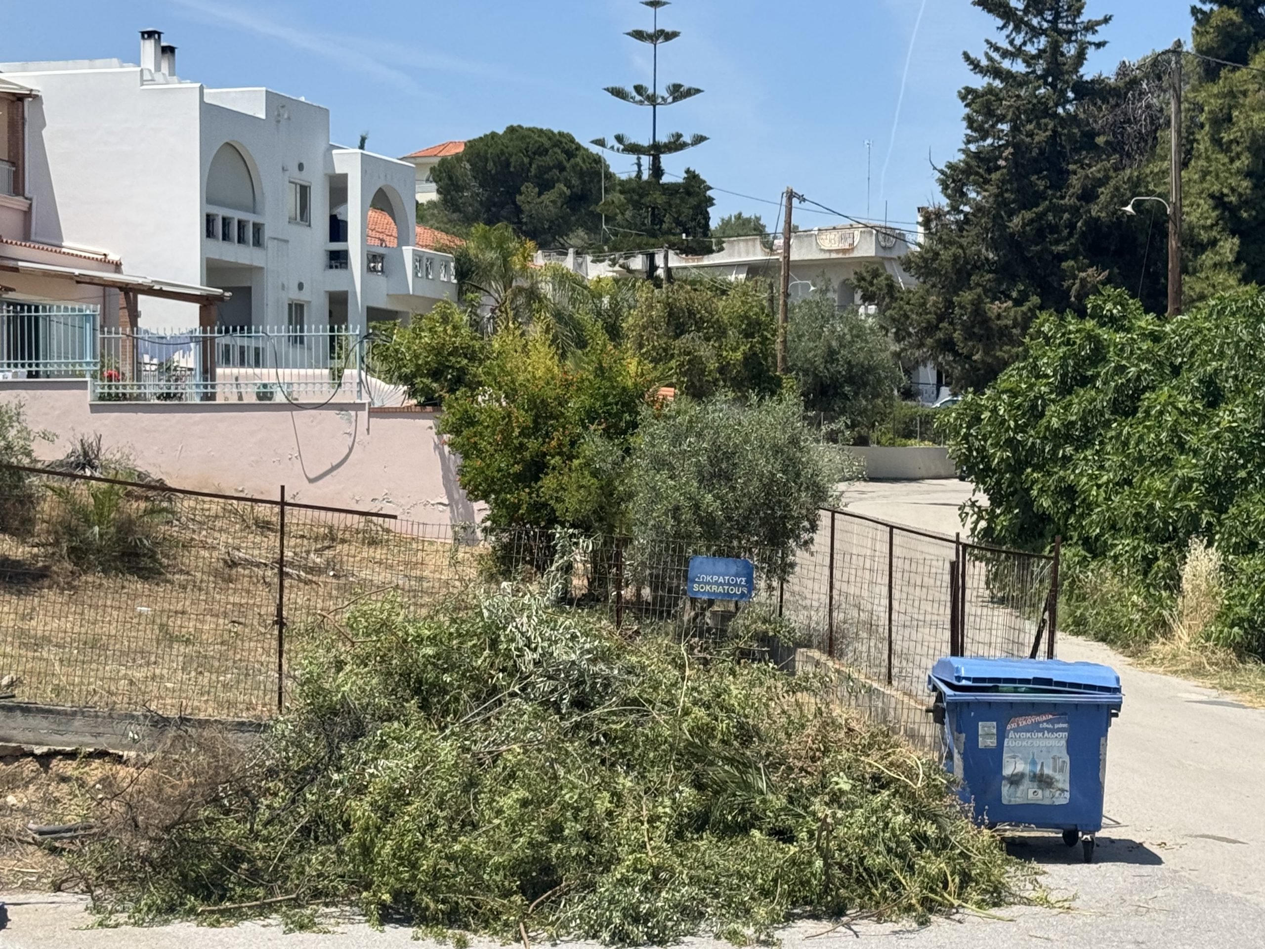 Εικόνες ντροπής στην Εύβοια: Πέταξαν κομμένα δέντρα δίπλα σε κάδο ανακύκλωσης