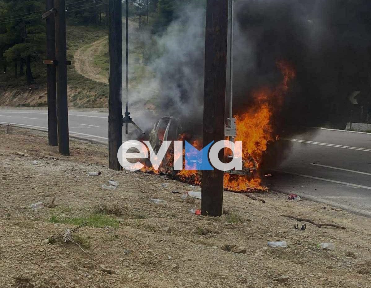 Τρόμος στην Εύβοια: Αυτοκίνητο κάηκε ολοσχερώς