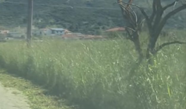 Ξεκινούν τα βαριά πρόστιμα στην Εύβοια: Τι πρέπει να προσέξετε