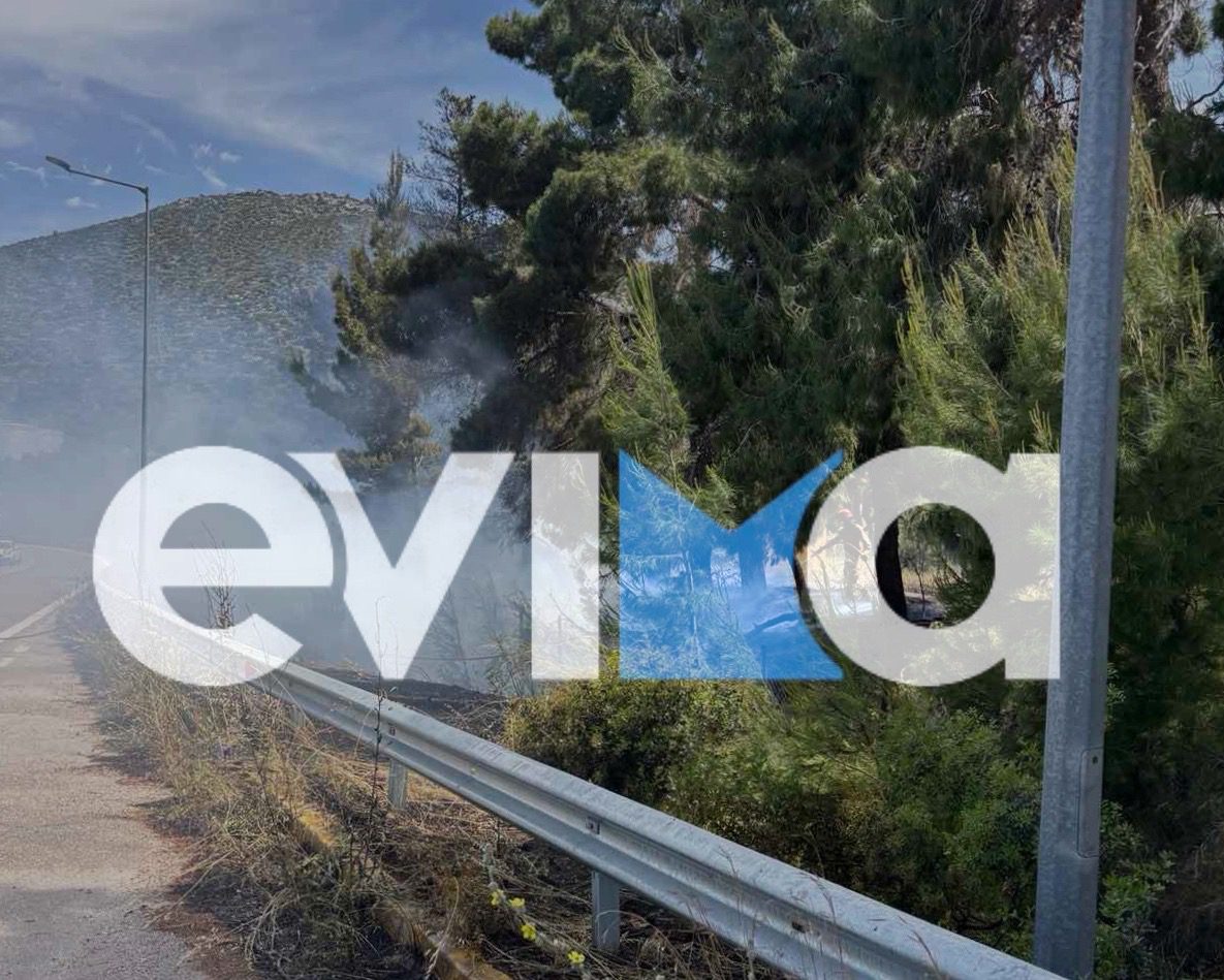 Έκτακτο: Διακοπή ρεύματος σε περιοχή της Χαλκίδα λόγω φωτιάς