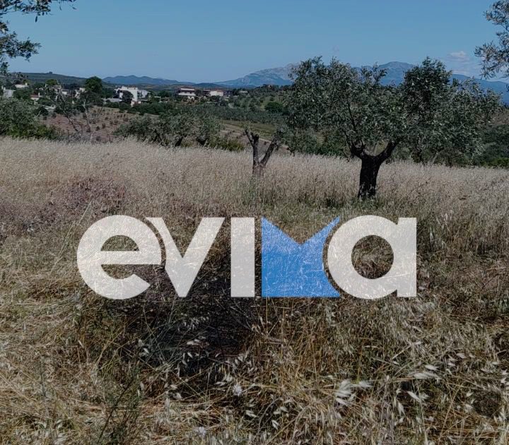 Φωτιά τώρα στην Εύβοια
