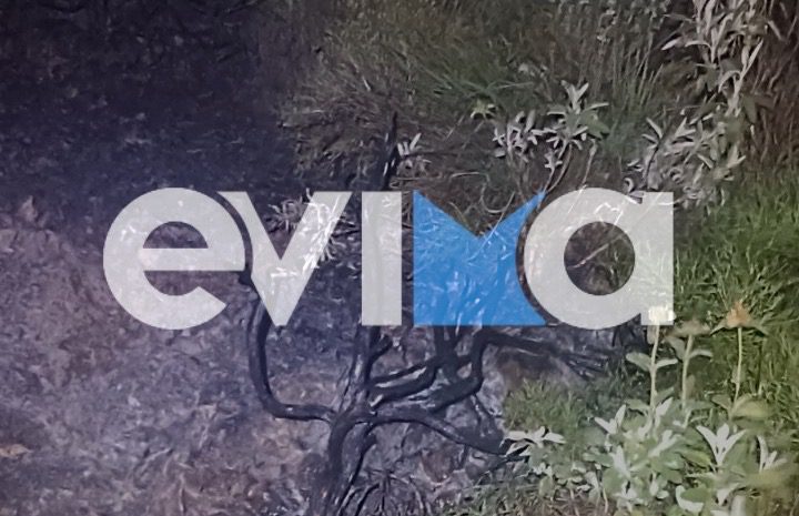 Φωτιά από κεραυνό στην Εύβοια