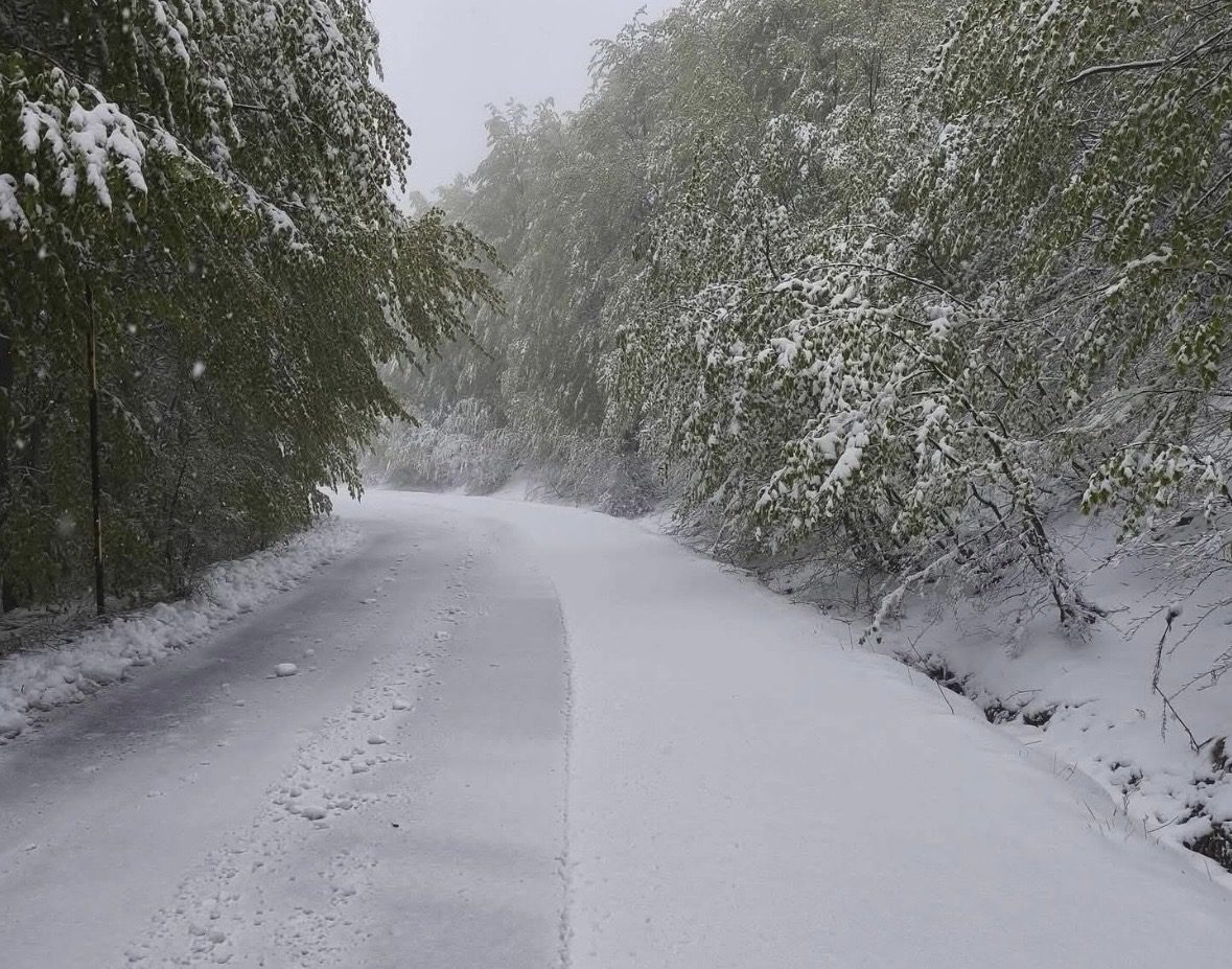 Αυτή η περιοχή ντύθηκε στα λευκά σήμερα – Δείτε εικόνα