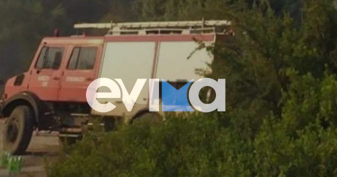 Συναγερμός στην Εύβοια: Χάθηκαν σε δάσος τρεις ενήλικες και ένα παιδί