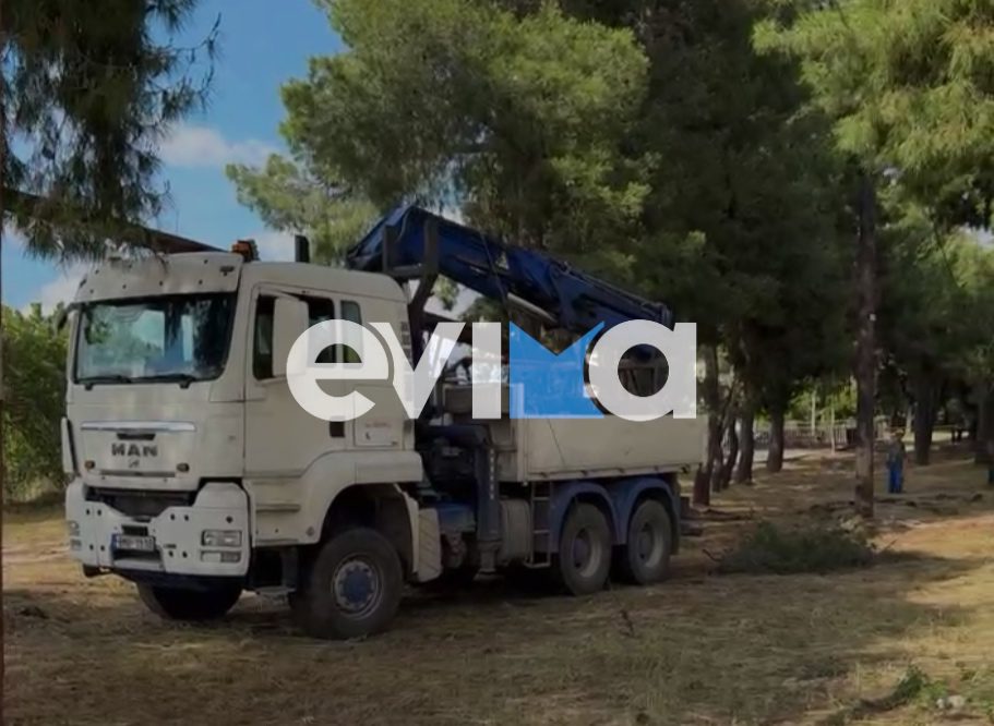 Χωρίς ρεύμα περιοχή της Εύβοιας λόγω της κακοκαιρίας
