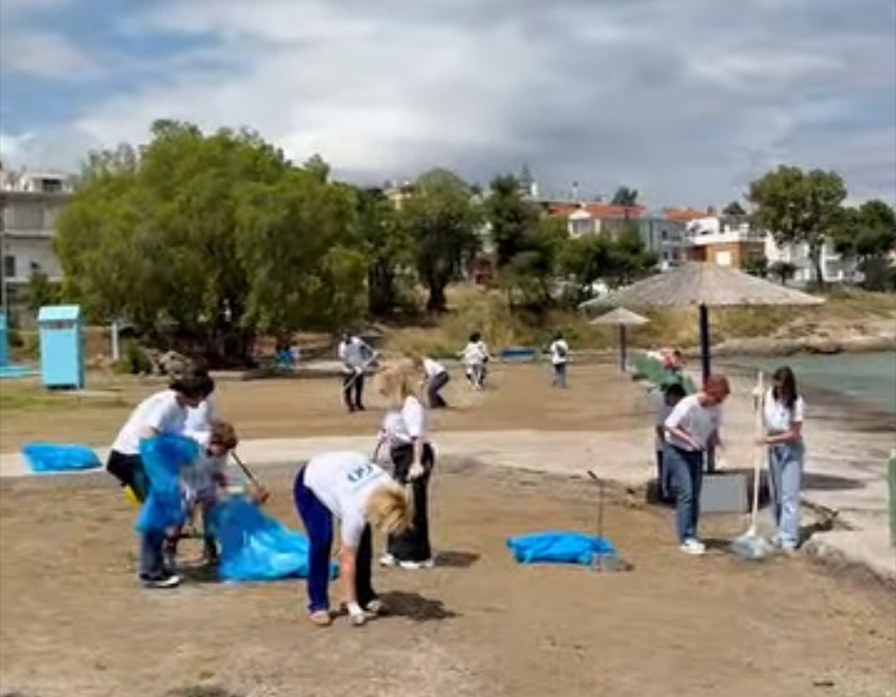 Χαλκίδα: Οι Ροδιές Πιο Καθαρές, Χάρη στη Δράση του Ομίλου Κριμάτογλου